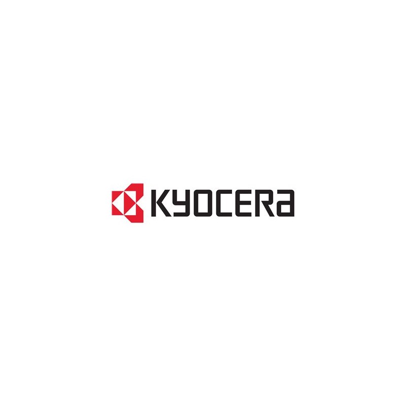 Kyocera MDDR3-1GB