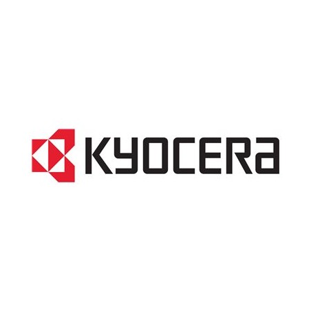 Kyocera MDDR3-1GB